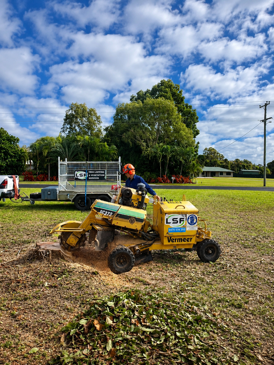 Stump grinding in Far North Queensland